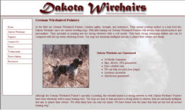 German Wirehaired Pointer - Dakota Wirehairs