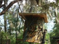 NCM 0525151709a  Wife leaning thinking that maybe that&#39;ll help it go over that way like she wants it to. (o;?