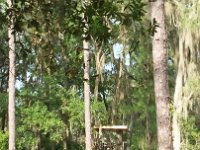 NCM 0525151727  Hides pretty good even with the bright yellow forklift in front of it.