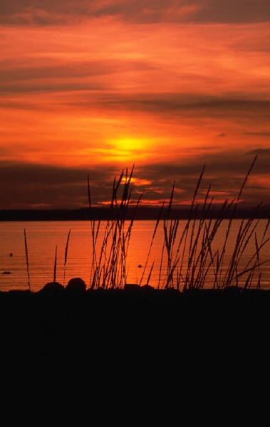 Fishing - Sunset on the Lake