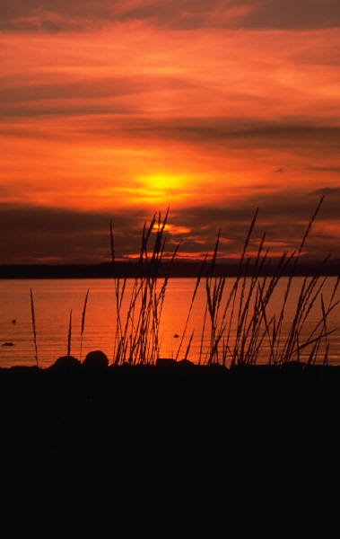 Fishing - Sunset on the Lake